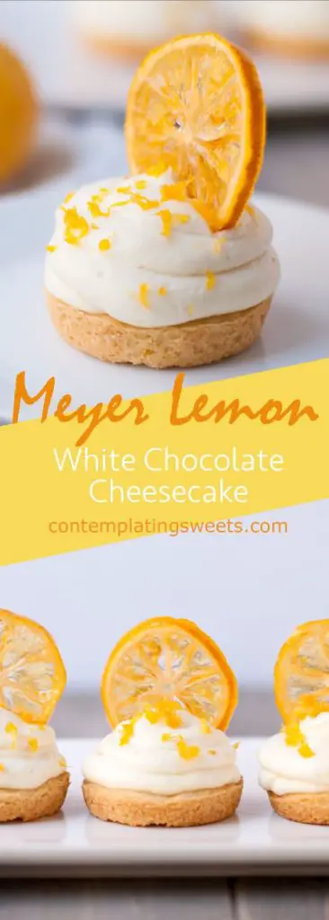 Meyer lemon white chocolate cheesecake