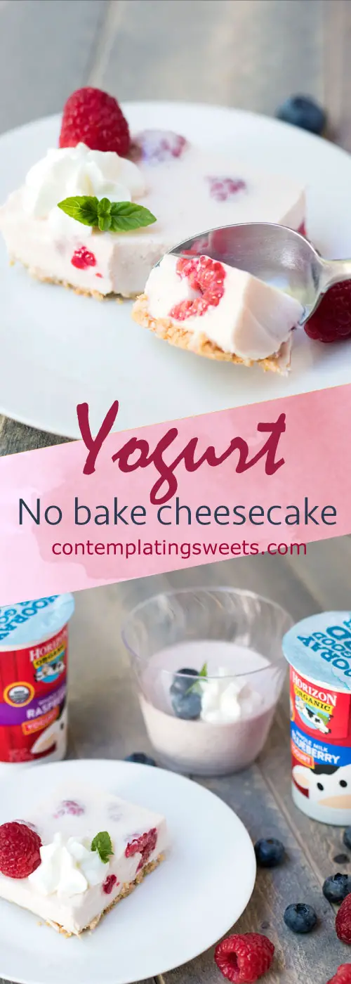 This Japanese style yogurt no bake cheesecake, or "rare cheesecake" is the perfect not-too-sweet treat. 