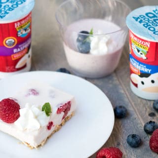 This Japanese style yogurt no bake cheesecake, or "rare cheesecake" is the perfect not-too-sweet treat.