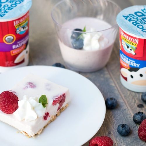 This Japanese style yogurt no bake cheesecake, or "rare cheesecake" is the perfect not-too-sweet treat.