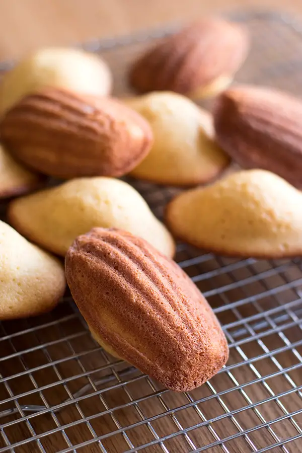 French shell shaped cakes cooling on a rack.