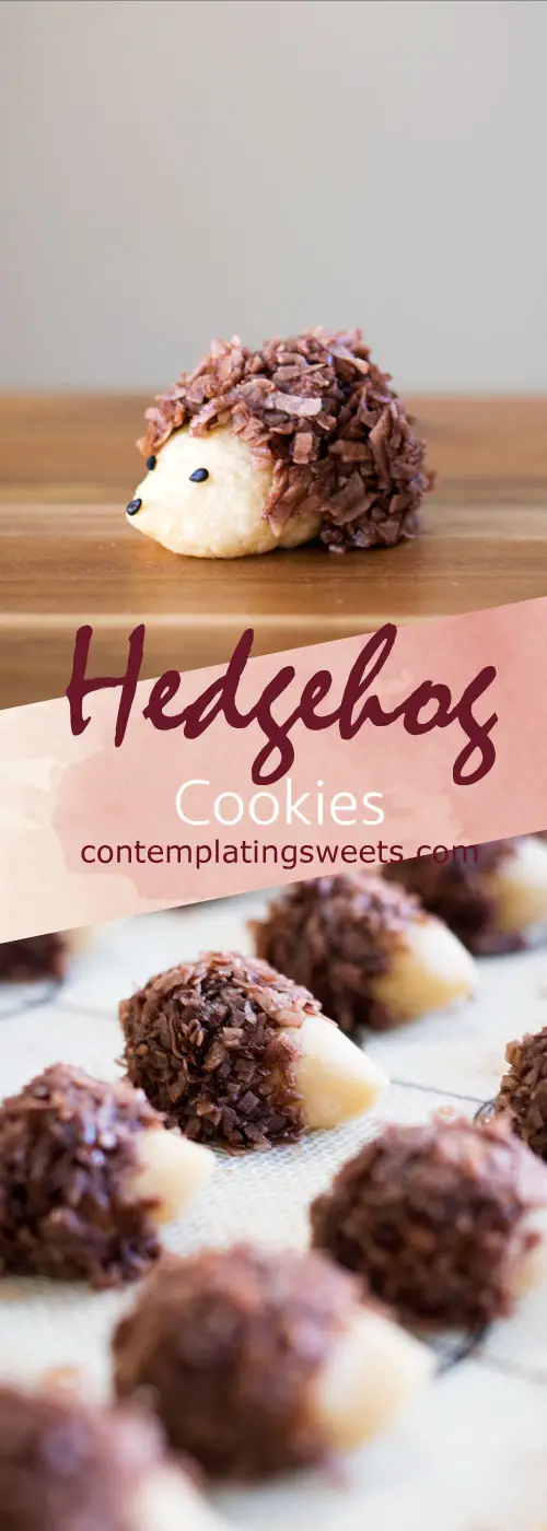These adorable hedgehog cookies are topped with chocolate coconut spines, and will be sure to delight kids and adults alike.