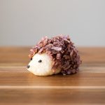 Hedgehog Cookies with Chocolate and Coconut